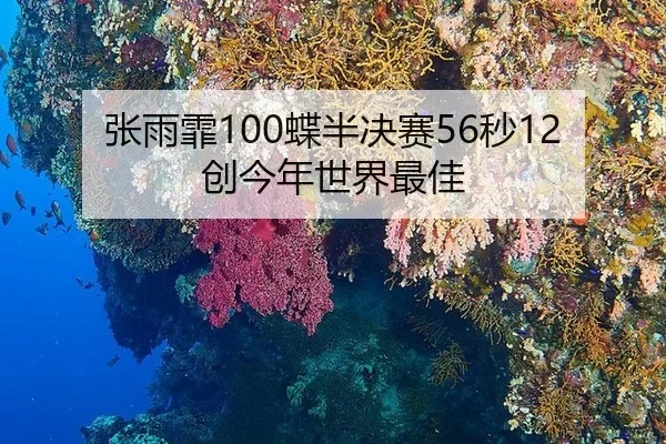 张雨霏100蝶半决赛56秒12创今年世界最佳